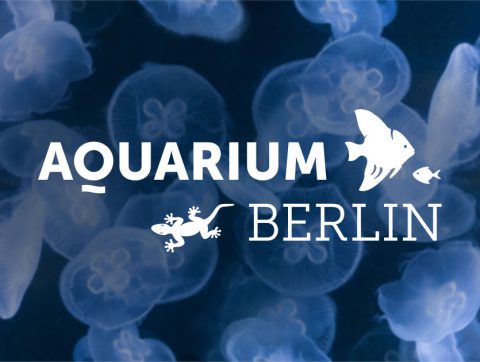 aquarium-OG-480x362