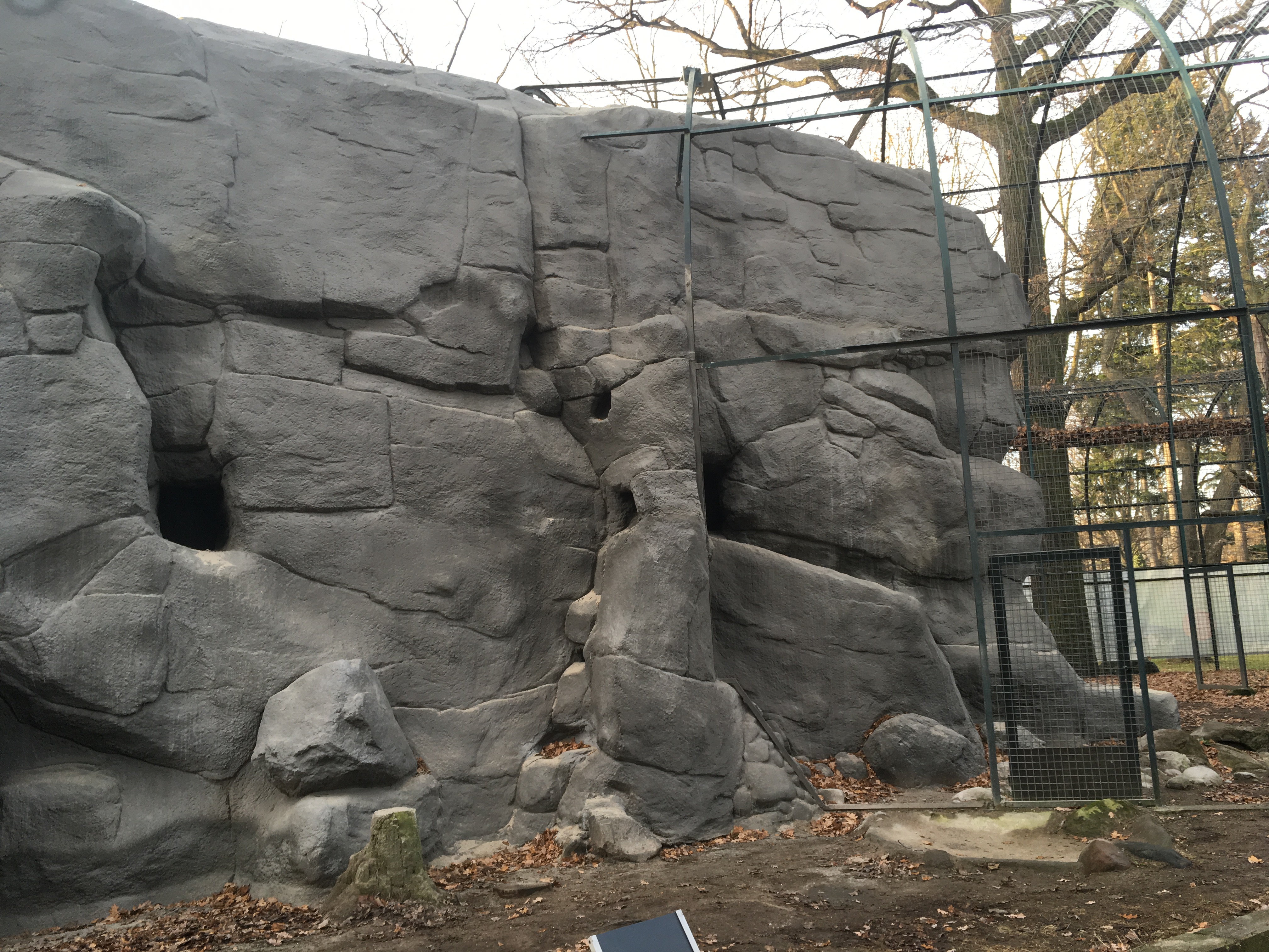 Bau+TGA-Sanierung Raubvogelfelsen Zoo Berlin